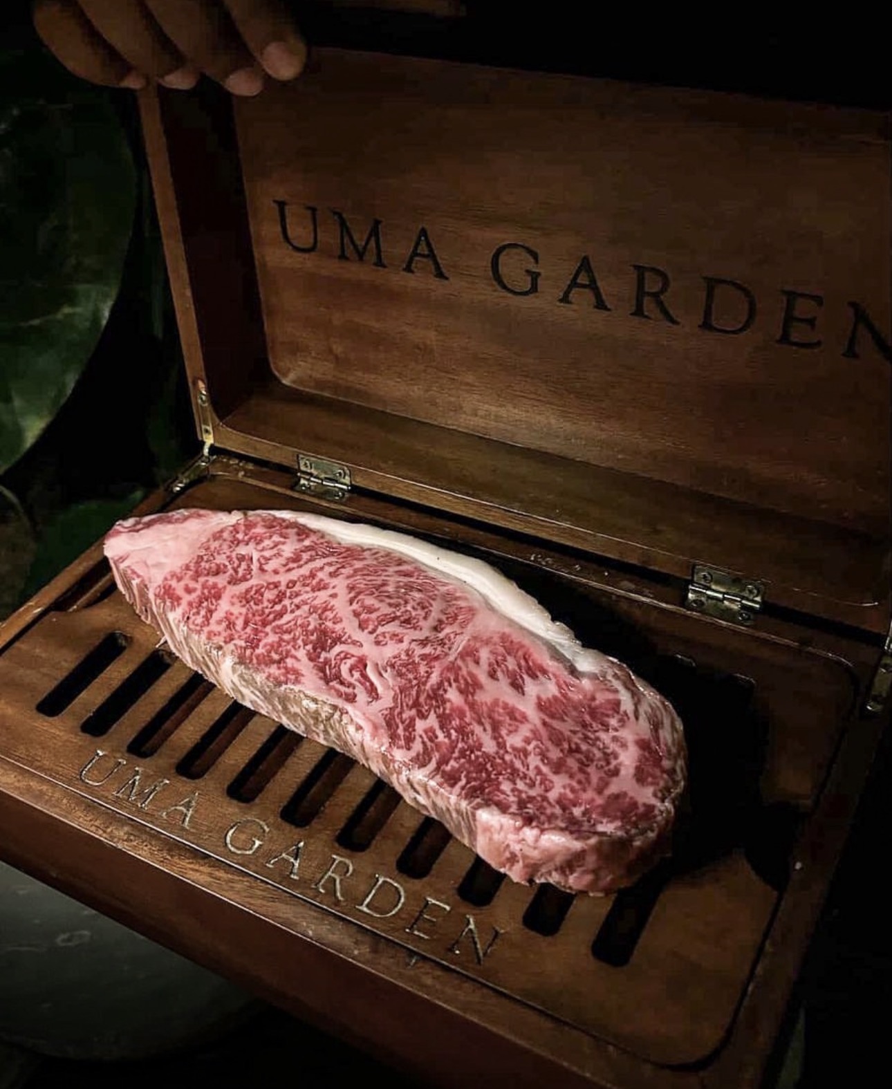 Uma Garden by Tavolo Group